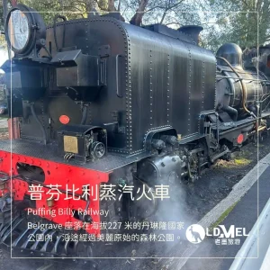 蒸汽小火車+企鵝歸巢一日遊