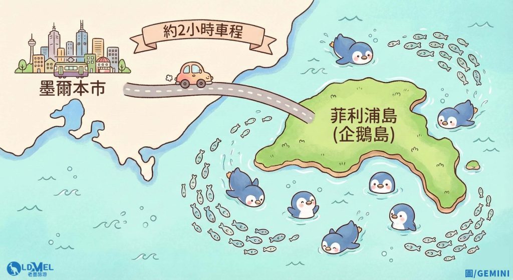 墨爾本企鵝島是什麼地方